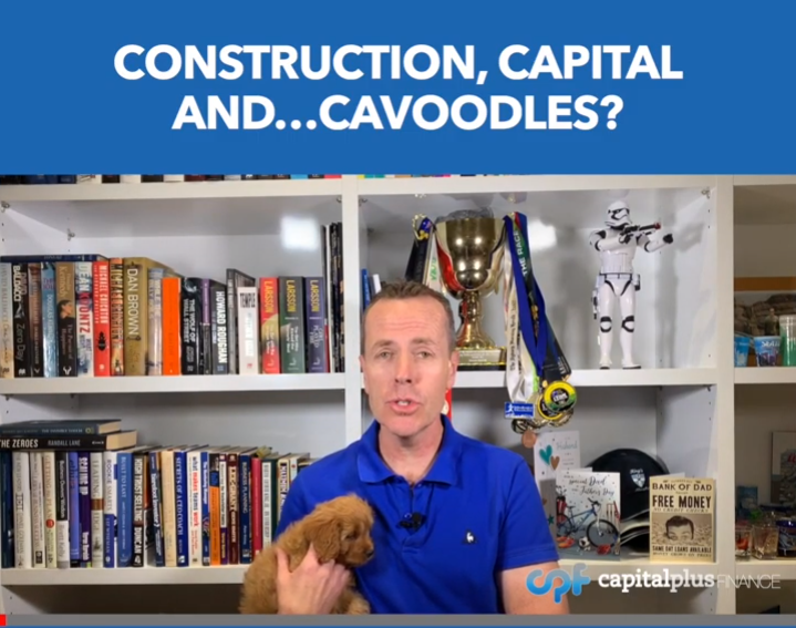 Construction, capital and…Cavoodles?